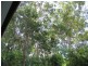 95 Stuartholme Road, Bardon QLD 4065