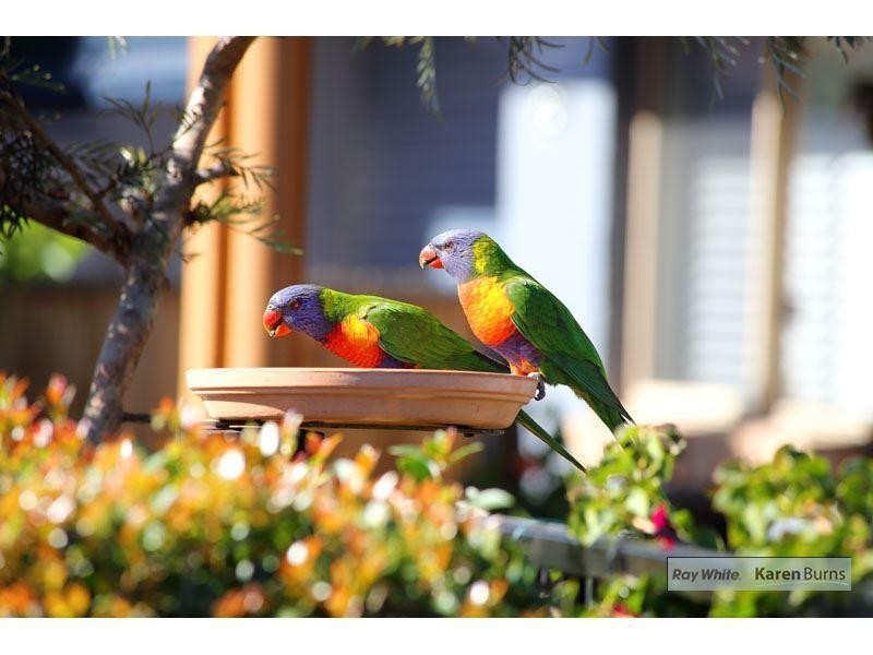 119 Sugarwood Street, Bellbowrie QLD 4070