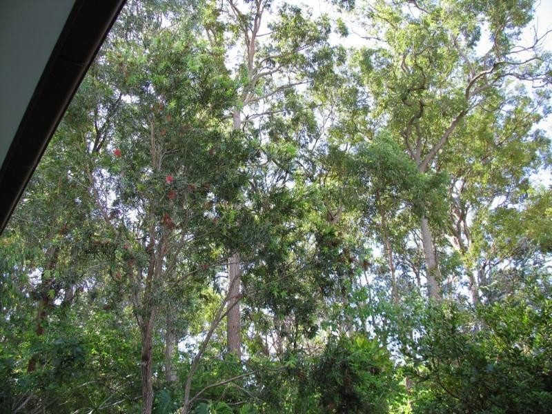 95 Stuartholme Road, Bardon QLD 4065