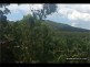 257 Bielby Road, Chapel Hill QLD 4069
