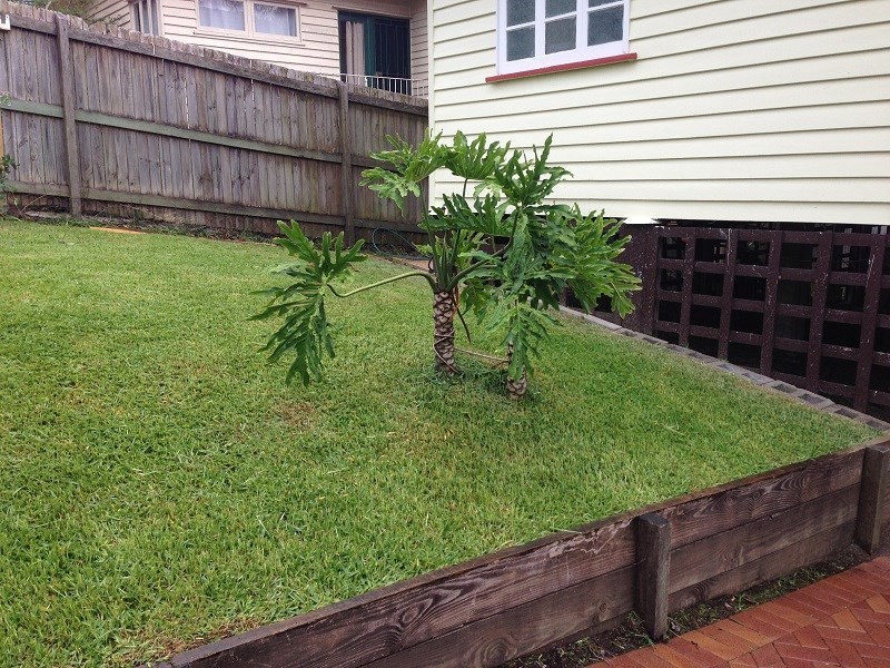 7 Equinox Street, Taringa QLD 4068