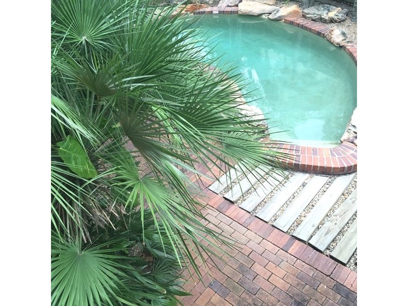 3/16 Gailey, Toowong QLD 4066