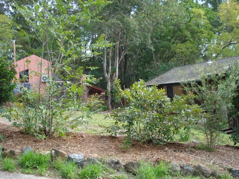 36 Ludlow Street, Indooroopilly QLD 4068