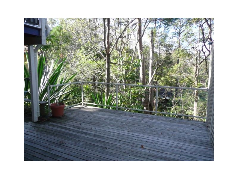186 Jerrang Street, Chapel Hill QLD 4069