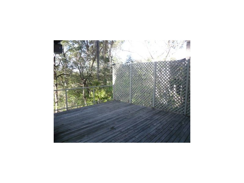 186 Jerrang Street, Chapel Hill QLD 4069