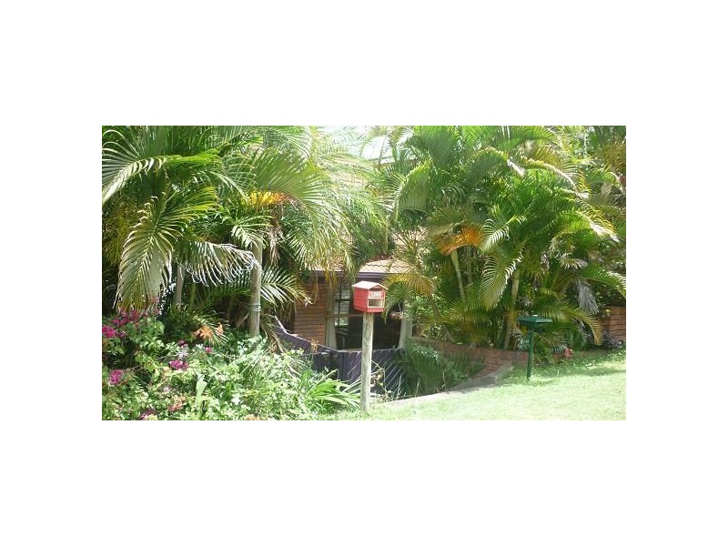 6/56 Payne Street, Indooroopilly QLD 4068