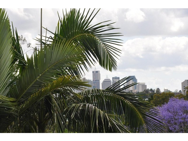 14/68 Bellevue Terrace, St Lucia QLD 4067