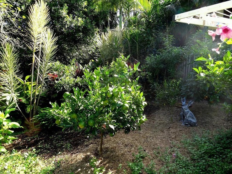 413 Moggill Road, Indooroopilly QLD 4068