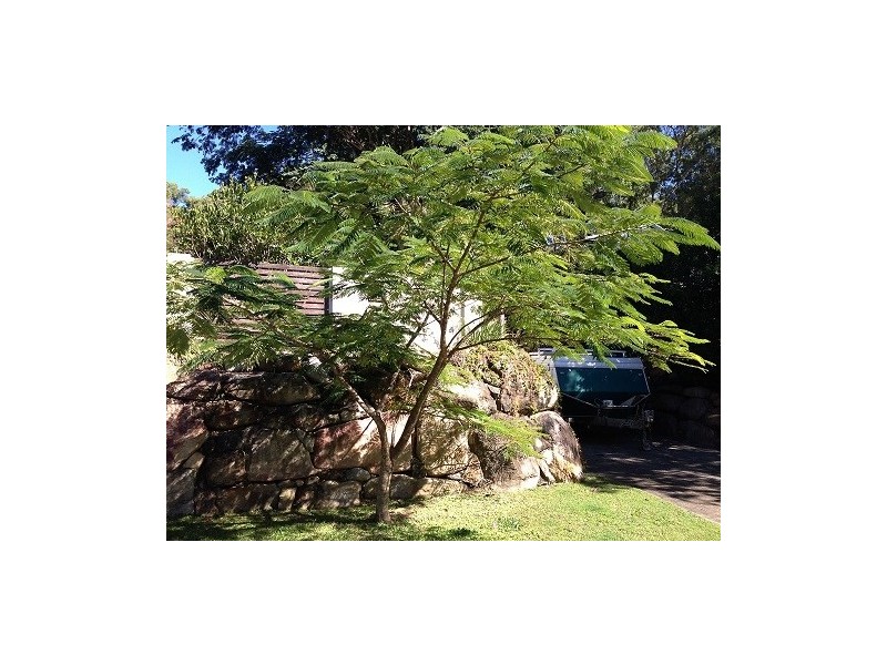 28 Binyara Street, Chapel Hill QLD 4069