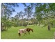 96 Haven Road, Pullenvale QLD 4069