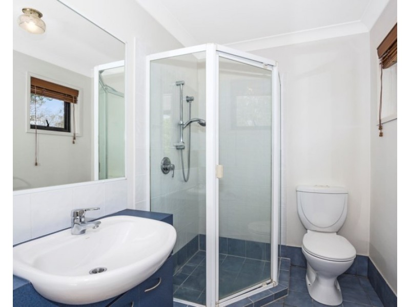 3/177 Macquarie Street, St Lucia QLD 4067