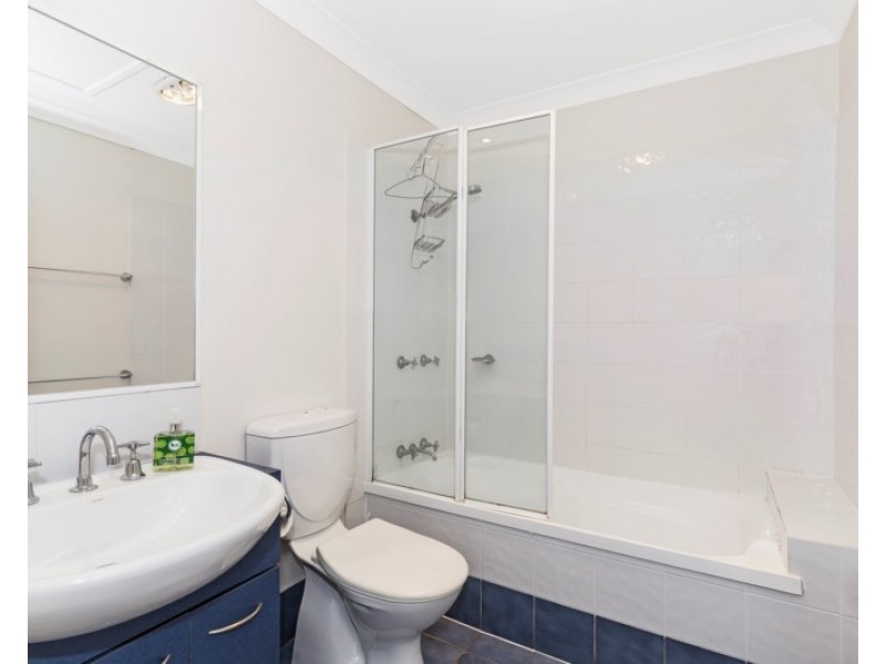 3/177 Macquarie Street, St Lucia QLD 4067