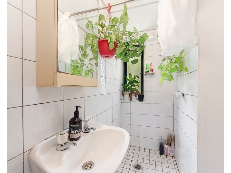 4/119 Munro Street, St Lucia QLD 4067