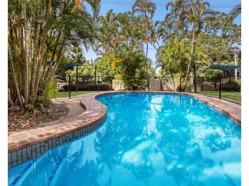 1/31 Bishop Street, St Lucia QLD 4067