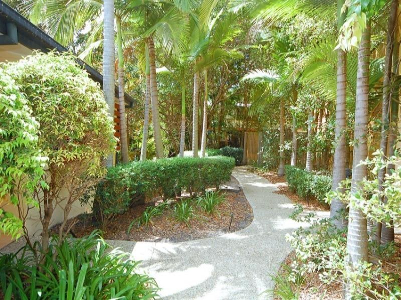 182 Carmody Road, St Lucia QLD 4067