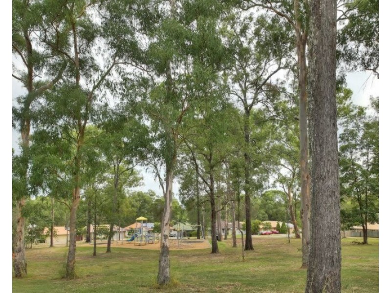 34 Bellamy Street, Acacia Ridge QLD 4110