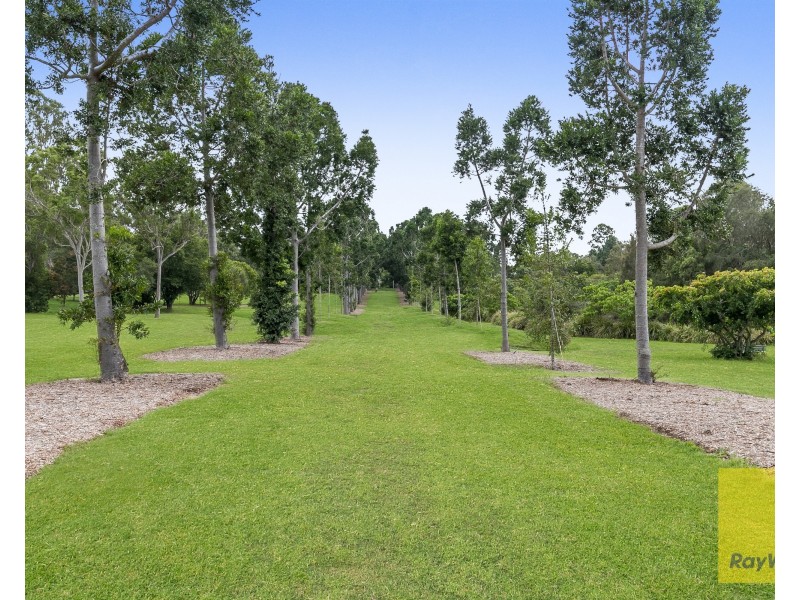 66 Jolimont Street, Sherwood QLD 4075