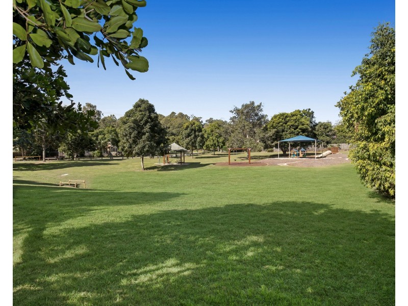 79 Palm Street, Kenmore QLD 4069