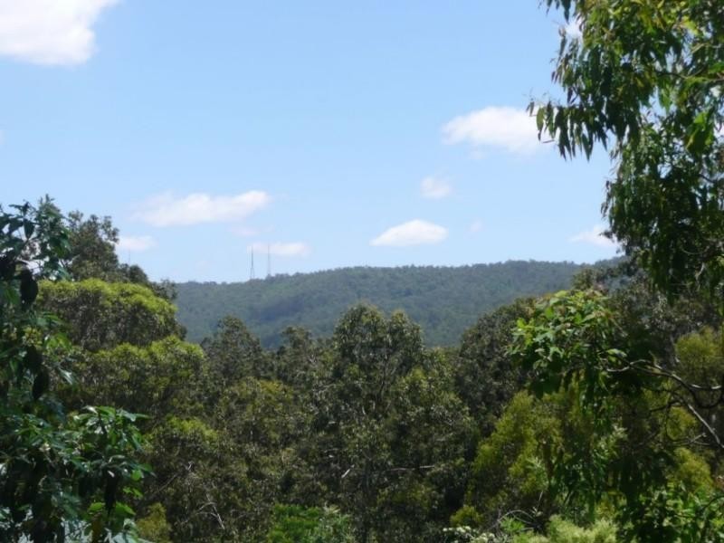 13 Maculata Drive, Chapel Hill QLD 4069