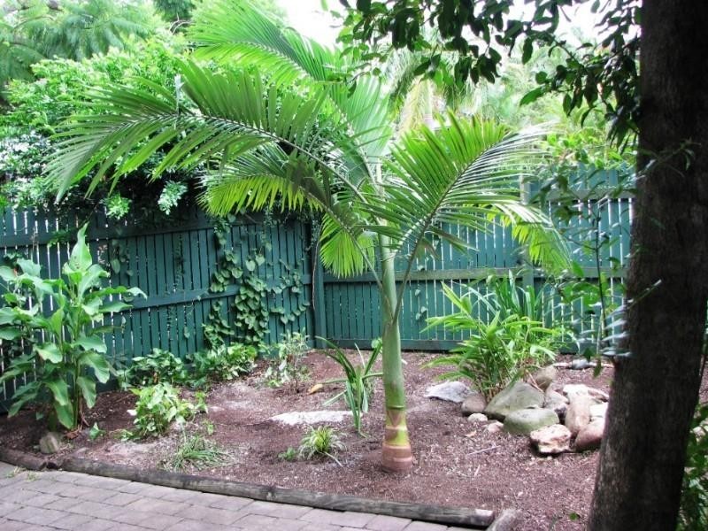 1/14 Annie Street, Auchenflower QLD 4066