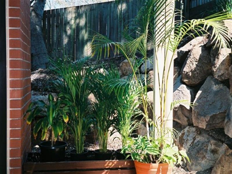 2/295 Moggill Road, Indooroopilly QLD 4068