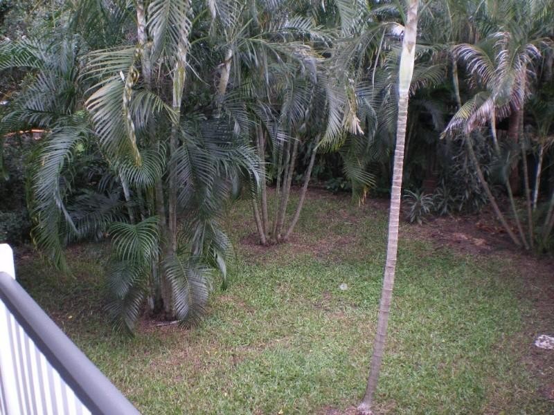 25 Knowles Street, Auchenflower QLD 4066