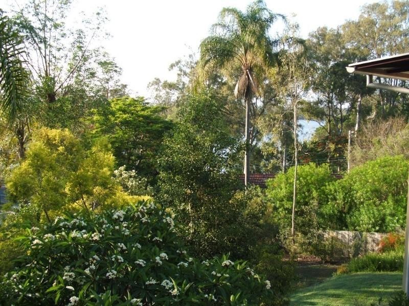 12 Tarcoola Street, St Lucia QLD 4067