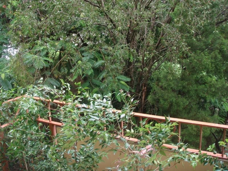 2/37 Gailey Road, Taringa QLD 4068