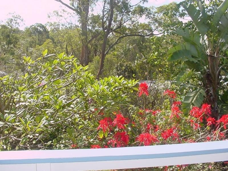 47 Sussex Street, Toowong QLD 4066