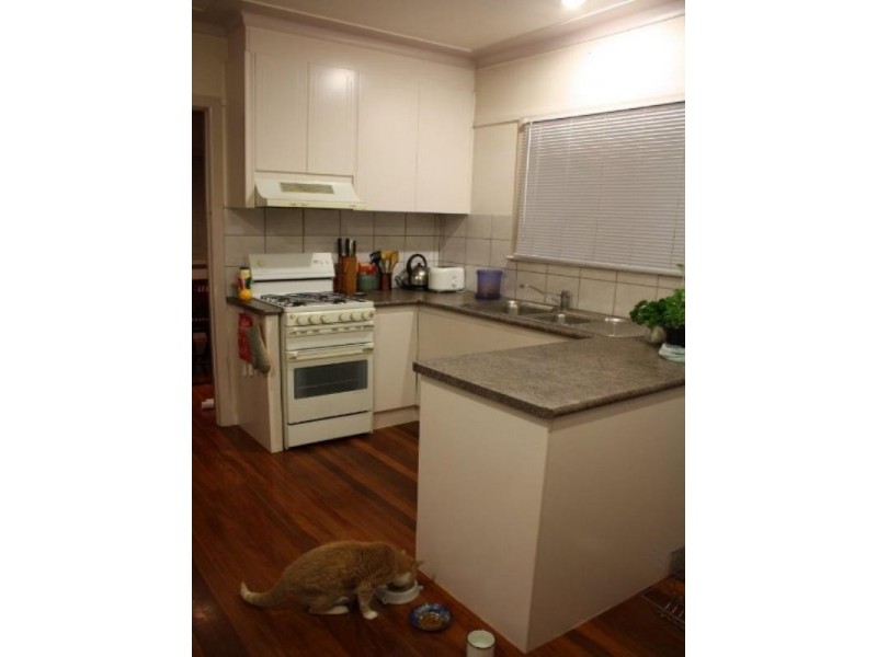 59 Thomas Street, Auchenflower QLD 4066