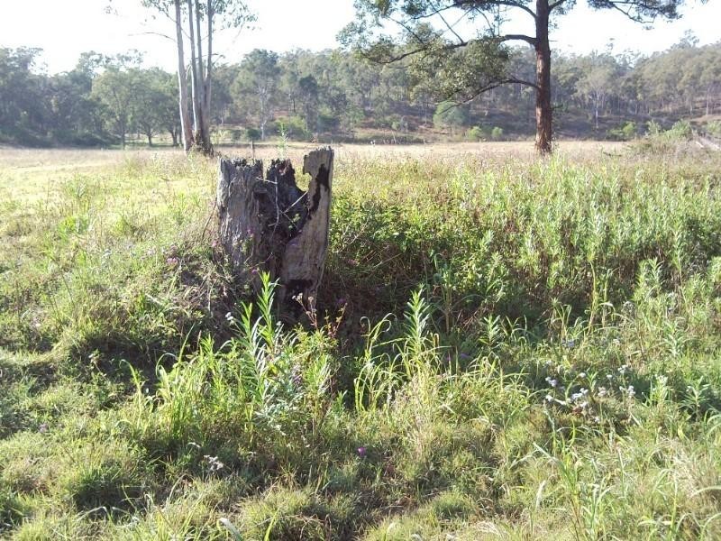 236 Lake Manchester Road, Kholo QLD 4306