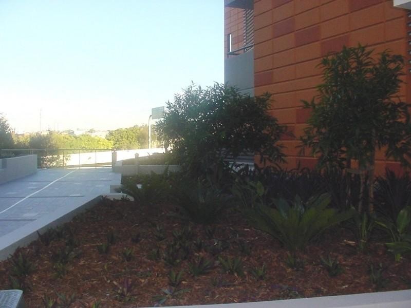 1/36 Jerdanefield Road, St Lucia QLD 4067