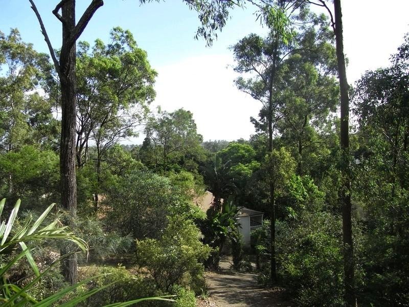 17 Narnoo Street, Chapel Hill QLD 4069