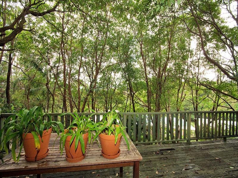 73 Chelford Street, Alderley QLD 4051