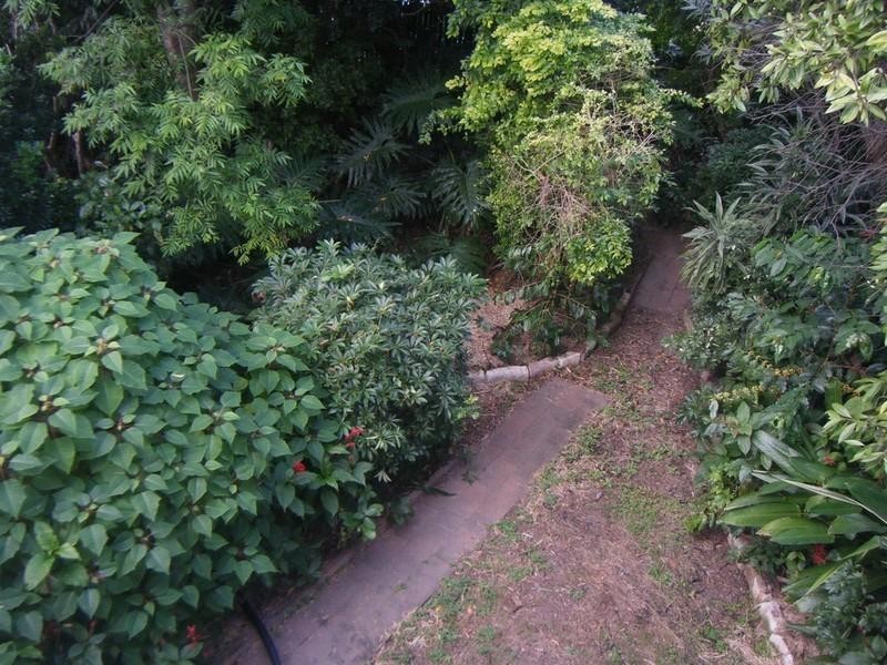 46 Clarence Road, Indooroopilly QLD 4068