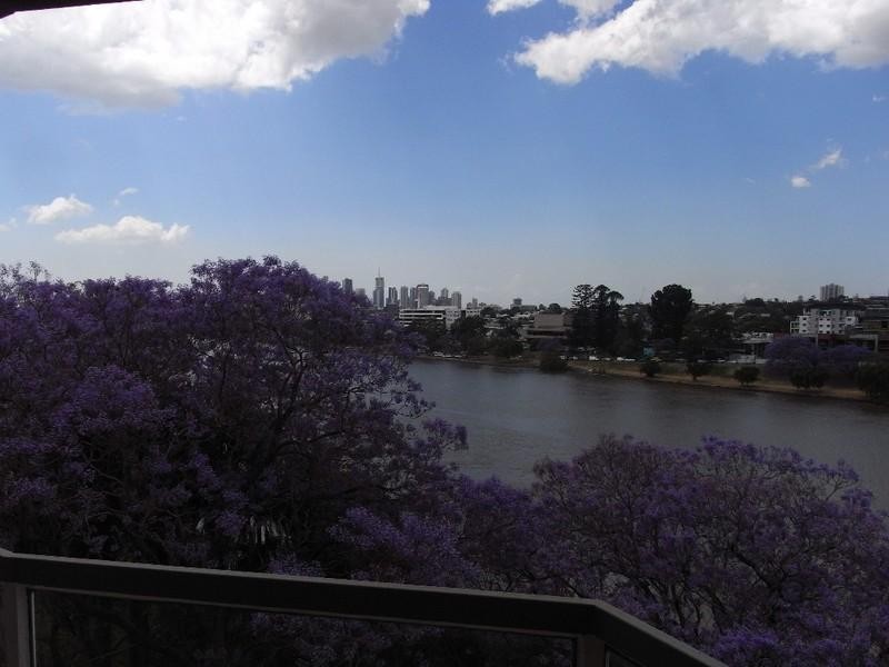 11/26 Archer Street, Toowong QLD 4066