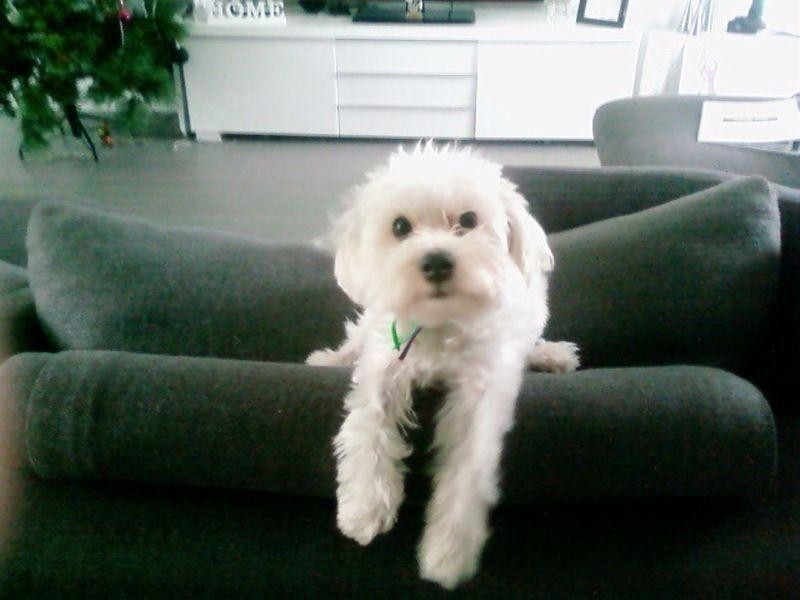 7/165 Gladstone Road, Highgate Hill QLD 4101