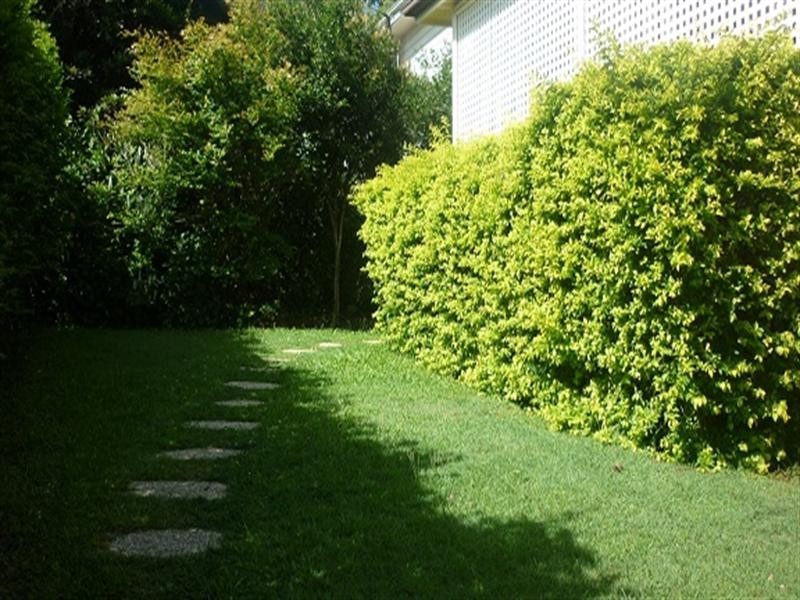 3 Telarah Street, Indooroopilly QLD 4068