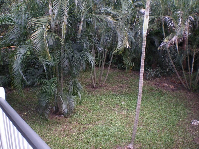 25 Knowles Street, Auchenflower QLD 4066