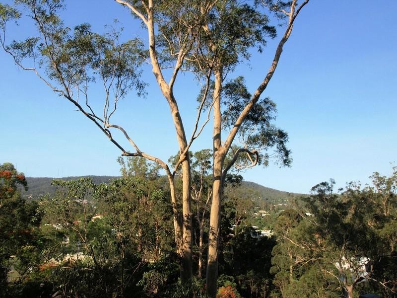 87 Bielby Road, Chapel Hill QLD 4069