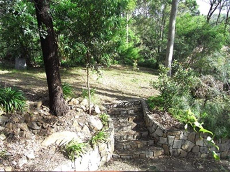 17 Narnoo Street, Chapel Hill QLD 4069