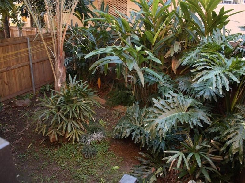 3/123 Macquarie Street, St Lucia QLD 4067