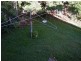 147 Frederick Street, Toowong QLD 4066