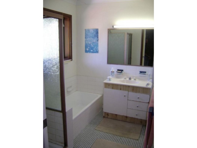 3/123 Macquarie Street, St Lucia QLD 4067