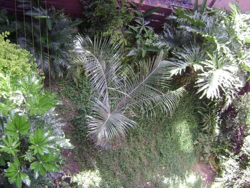 3/123 Macquarie Street, St Lucia QLD 4067