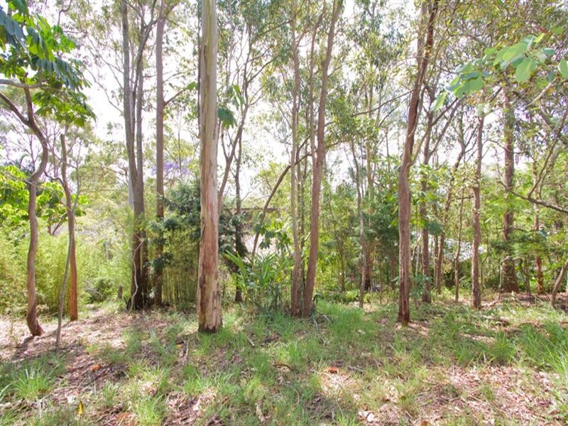 48 Twelfth Avenue, St Lucia QLD 4067