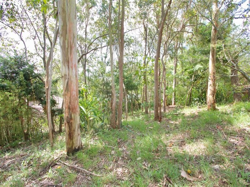 48 Twelfth Avenue, St Lucia QLD 4067