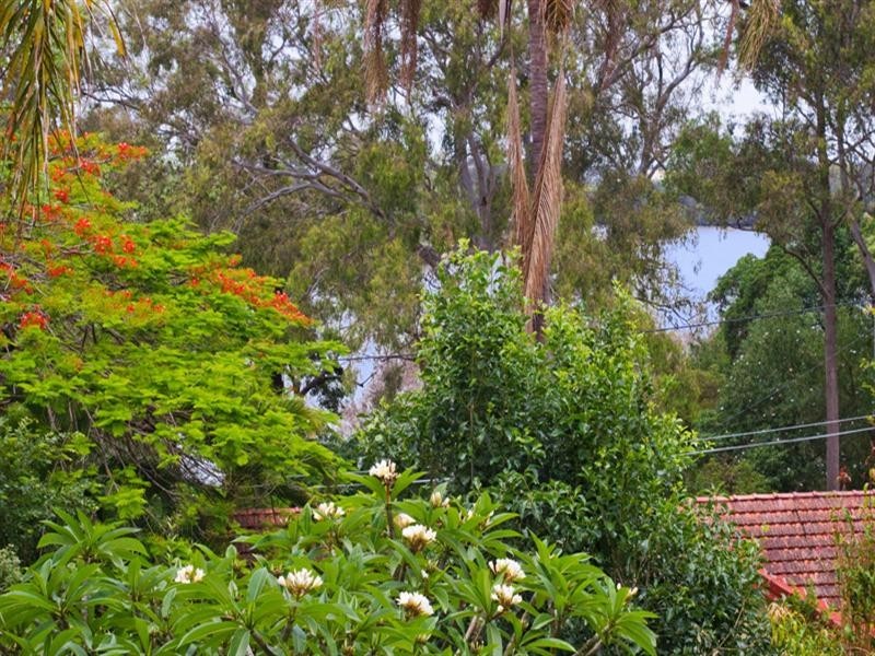 12 Tarcoola Street, St Lucia QLD 4067