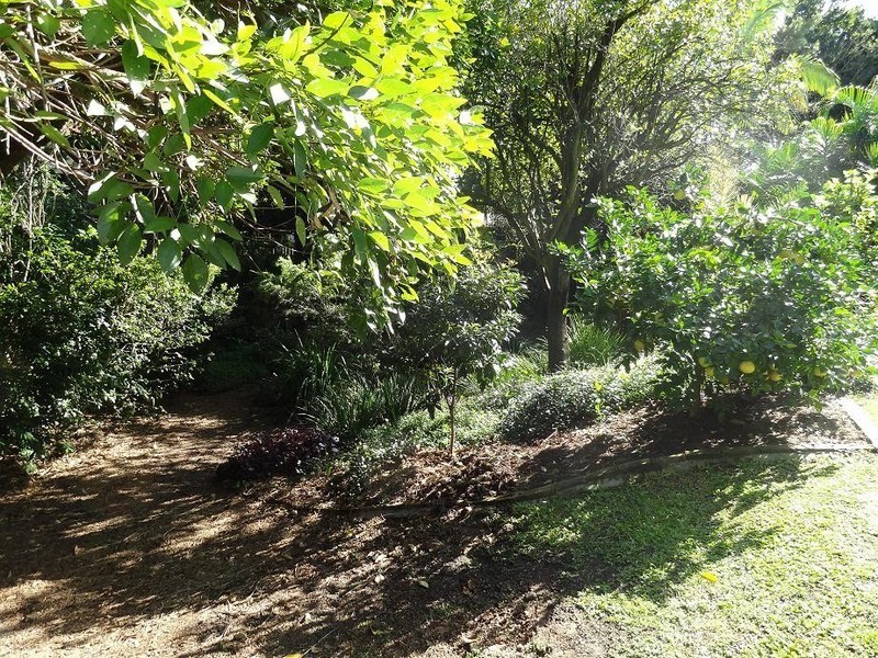 413 Moggill Road, Indooroopilly QLD 4068