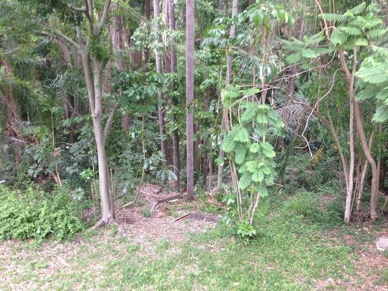 160 Stanley Street, Taringa QLD 4068